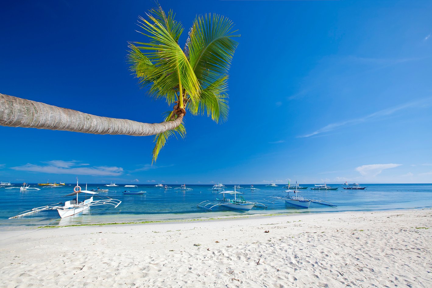 Panglao Island, Bohol